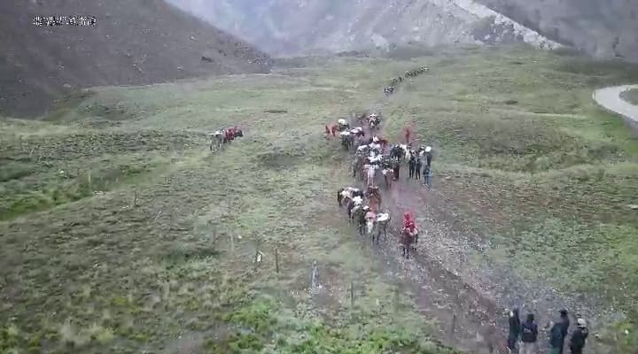 Maltrato animal en el Aconcagua