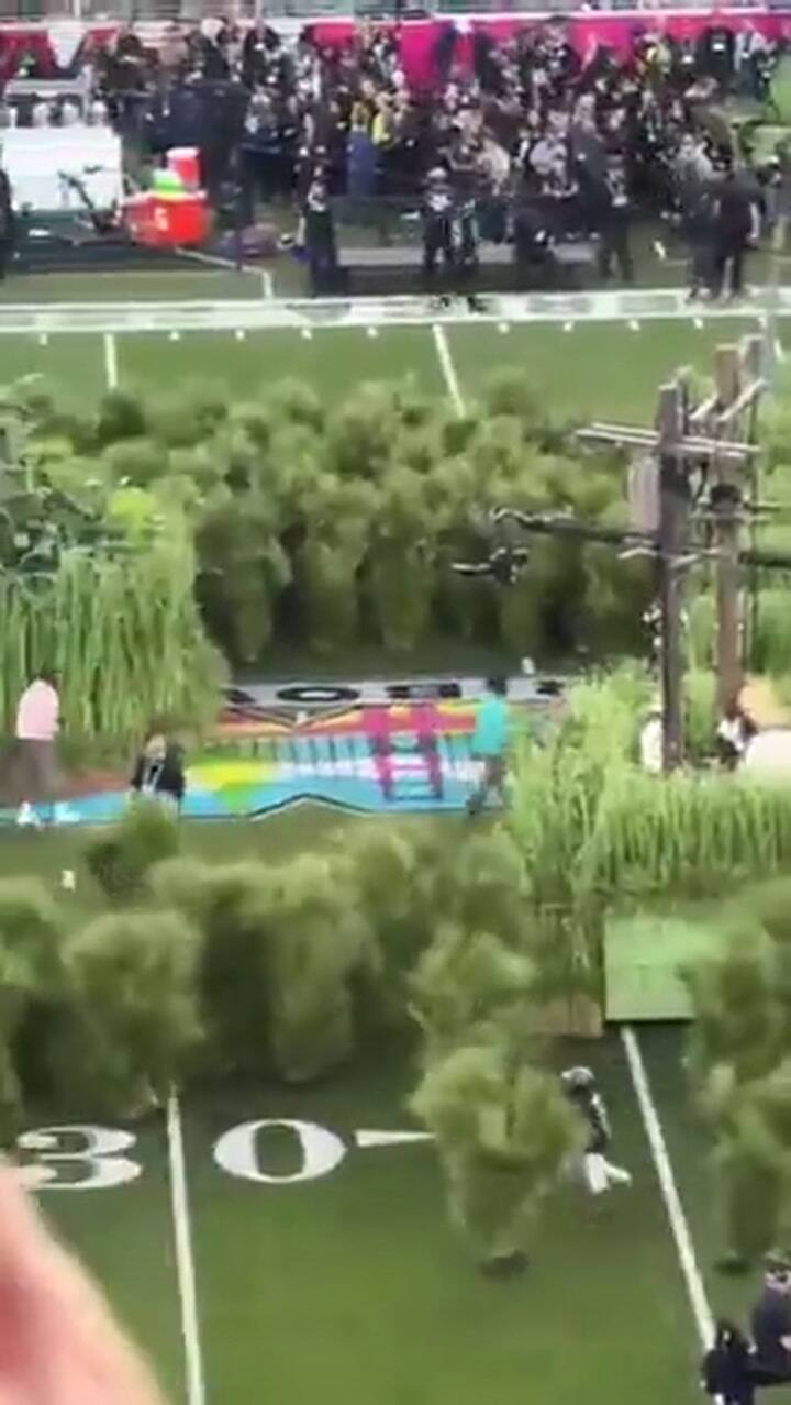 El trabajo de las personas-plantas en el show de Bad Bunny