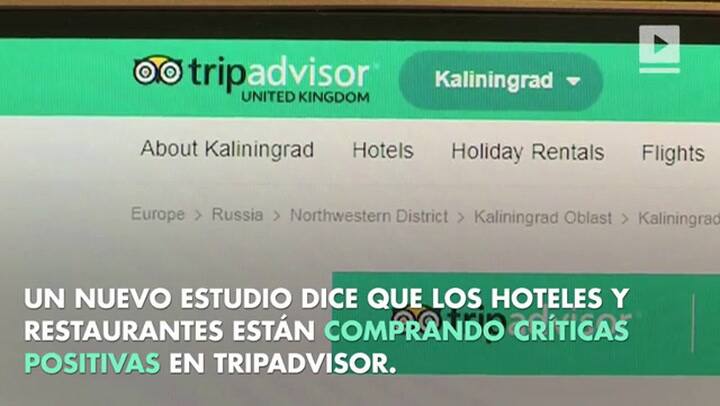Una de cada tres reseñas en TripAdvisor es falsa - Fuente: Reuters