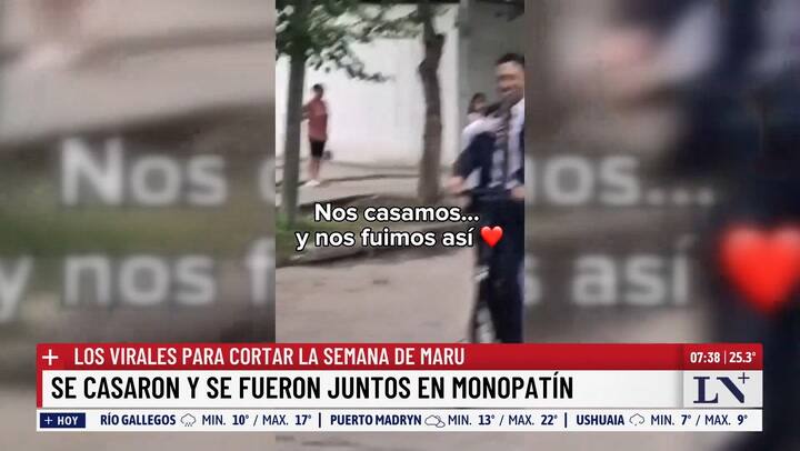 Un therian serpiente en Japon