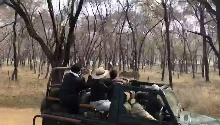 La feroz lucha entre dos tigres en un parque Nacional de la India