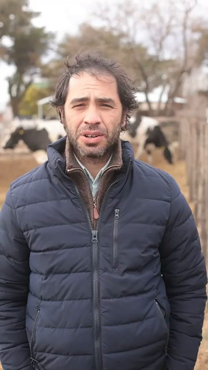 El lamento de un tambero por la venta de sus vacas lecheras