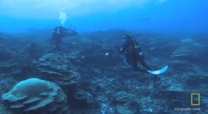 Vostok The Most Amazing Place I've Ever Seen National Geographic