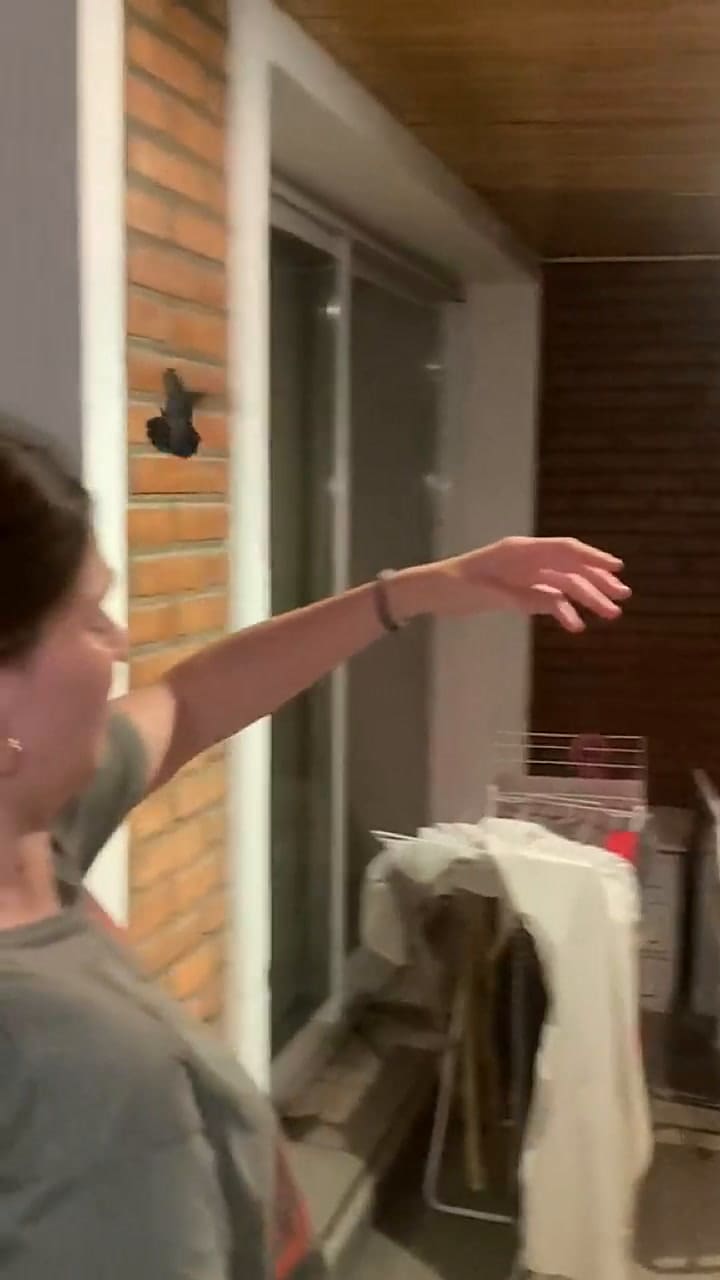 La joven pidió una señal y lo consiguió