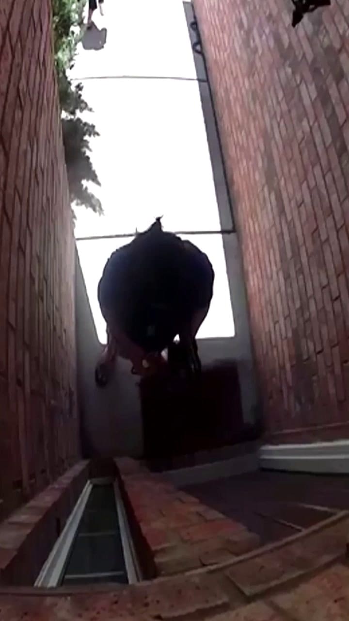 Serpiente Ataca Madre E Hijo