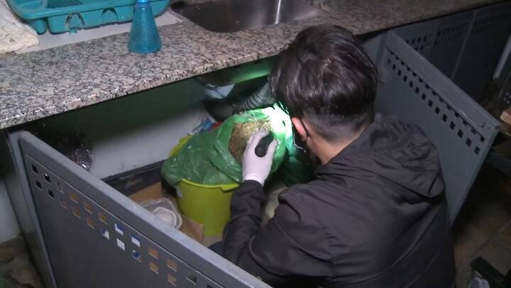 Palermo: desbaratan una banda liderada por un estadounidense que distribuía marihuana y LSD