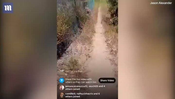 El exmarido de Britney Spears, Jason Alexander, irrumpe en la boda de la cantante