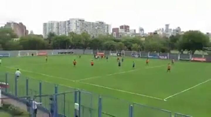 El video con gritos e insultos de Schellotto: 'Váyanse y no vuelvan más'