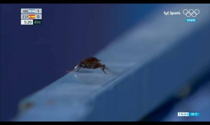 Filman una cucaracha en un partido de Las Leonas en Tokio - Fuente: TyC Sports