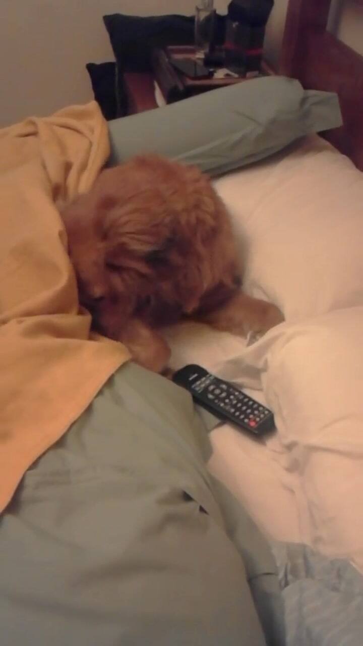 ¿Te traigo algo de tomar?