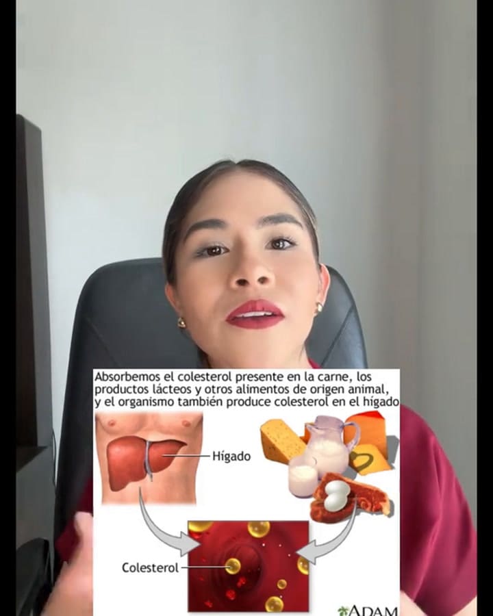 ¿Cuál es la diferencia entre colesterol y triglicéridos?