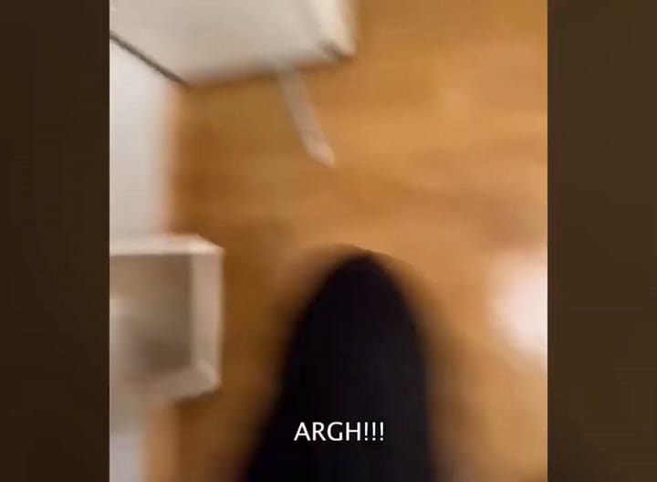 Buscaba algo debajo de la heladera y se llevó una escalofriante sorpresa