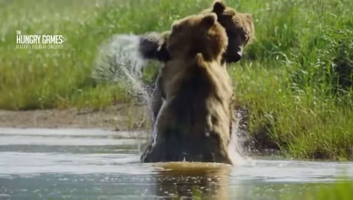 “THE HUNGRY GAMES”: el primer reality competitivo de animales