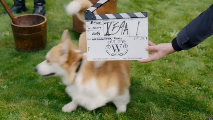 Jonathan Bailey protagonizó la segunda temporada de Birdgerton