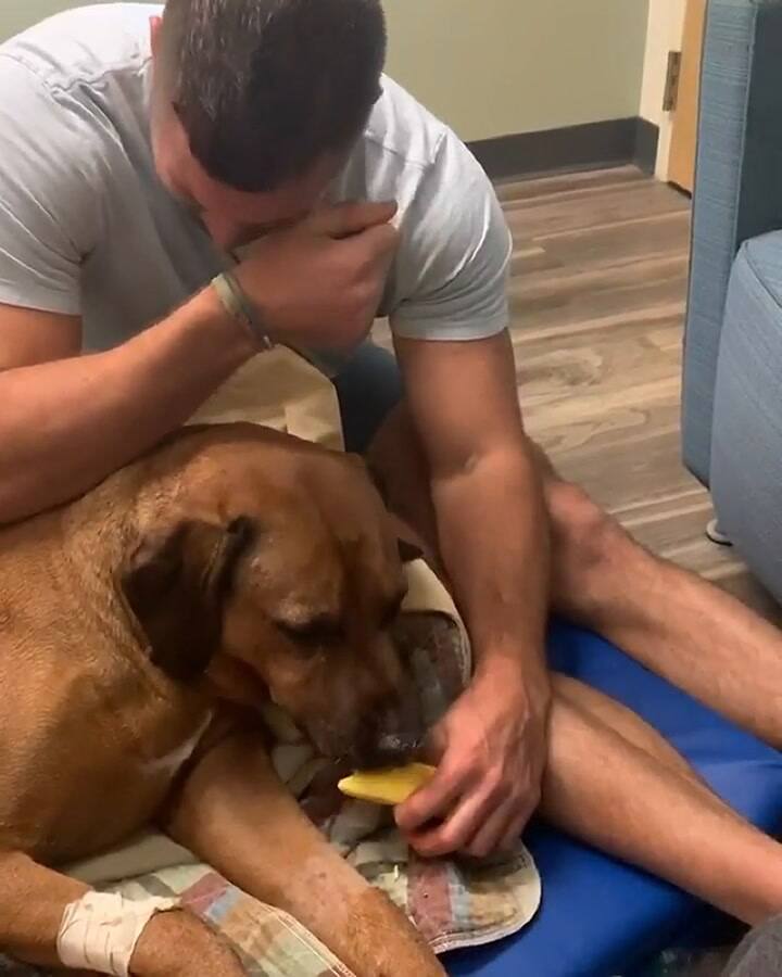 La emocionante despedida de un jugador a su perro que se hizo viral.