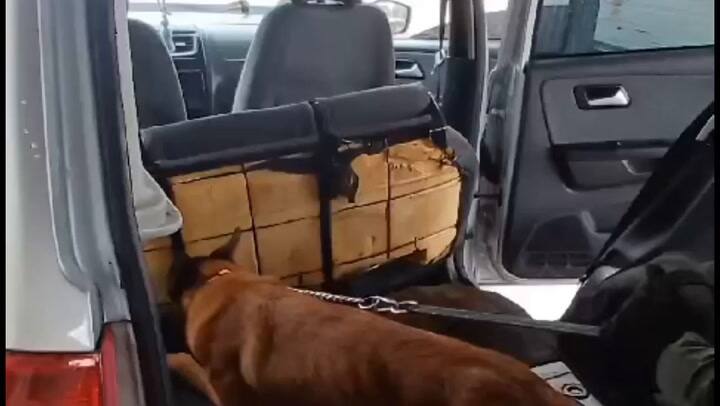 Operativo de la Gendarmería Nacional