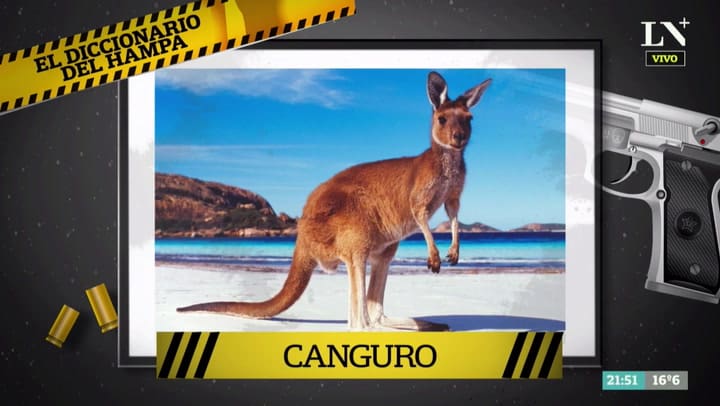 Diccionario del hampa: ¿qué significa 'el canguro'?