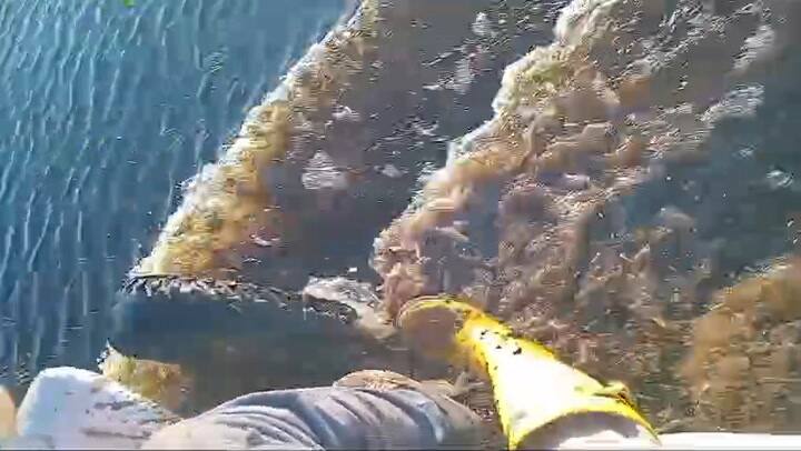 inundaciones en 9 de Julio