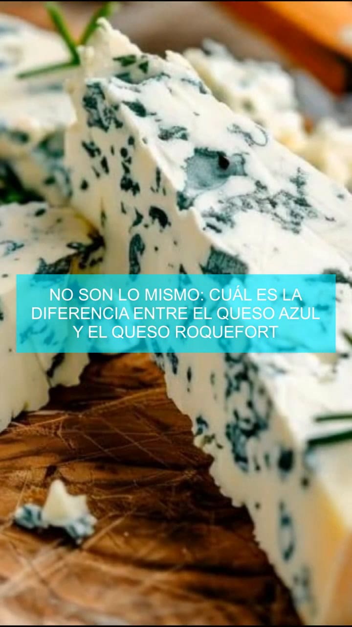 La Diferencia Entre El Queso Azul Y El Queso Roquefort