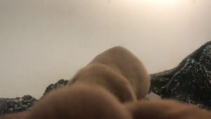 El perro salchicha prematuro que tiene obsesionados a los usuarios de las redes sociales