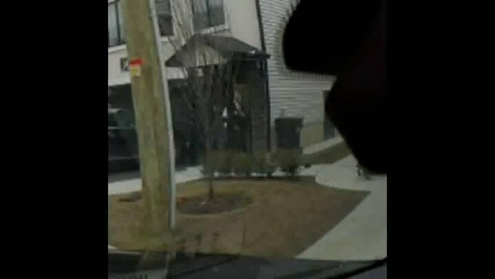 Hombre salva a un bebé del ataque de un perro Pitbull - Fuente: Youtube