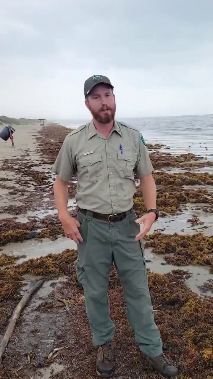 El hallazgo realizado en Mustang Island State Park, en Texas