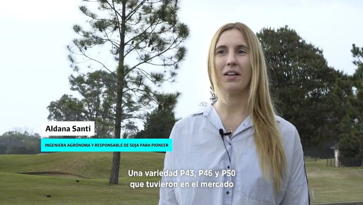 Lanzan nuevas variedades de semillas de soja con tecnología Enlist E3 y STS: “La genética es muy com