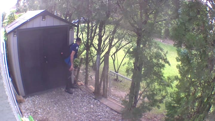 Cámaras de seguridad tomaron al aquachorro