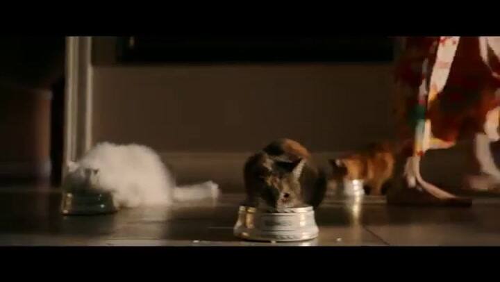 Trailer de la película Bohemian Rhapsody - Fuente: Youtube