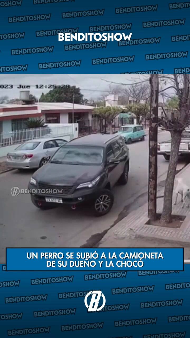El momento del incidente que se volvió viral