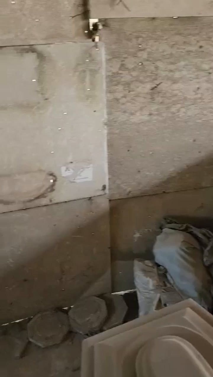 El hallazgo en el Cementerio Municipal de La Plata