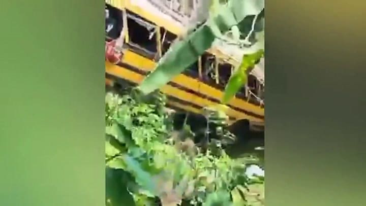 Al menos seis personas murieron por la picadura de un enjambre de abejas