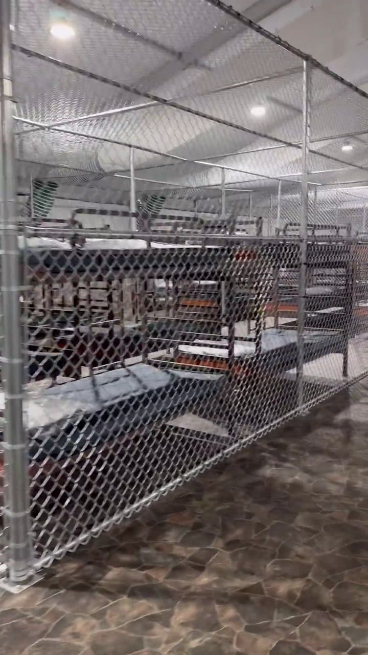 Las impactantes imágenes del interior del centro de detención apodado “Alligator Alcatraz”