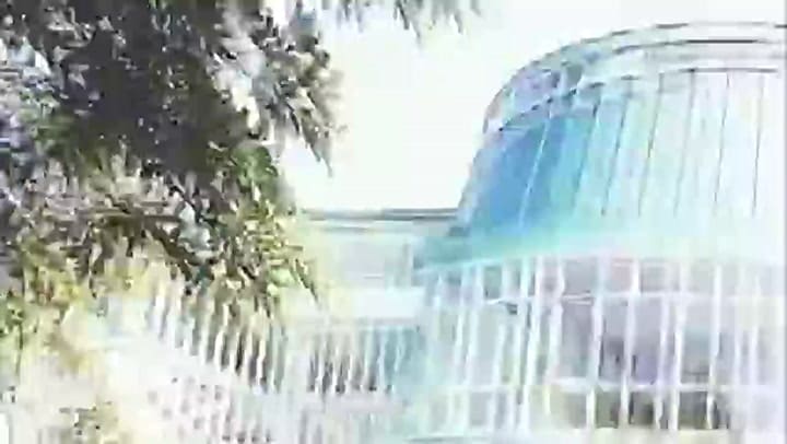 El momento del ataque del león