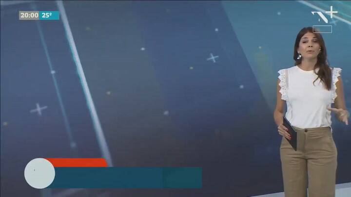 Animales o personalidades en los billetes