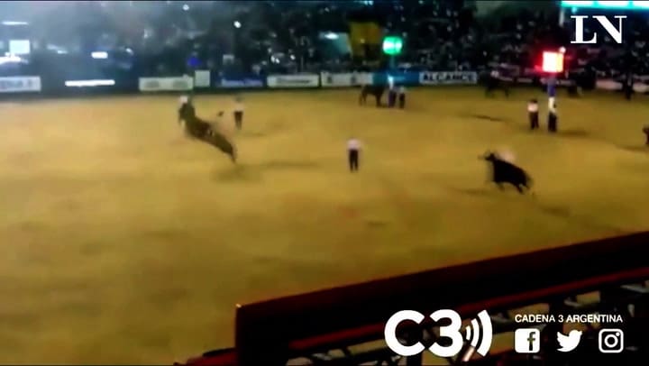 Murió un jinete aplastado por su caballo en Jesús María