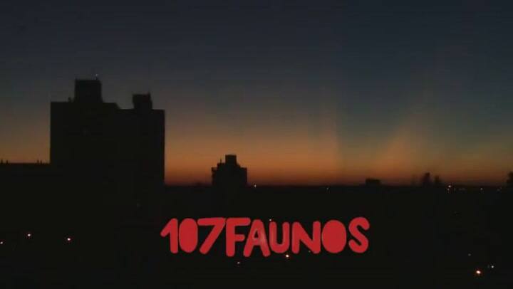 107 Faunos - Pretemporada