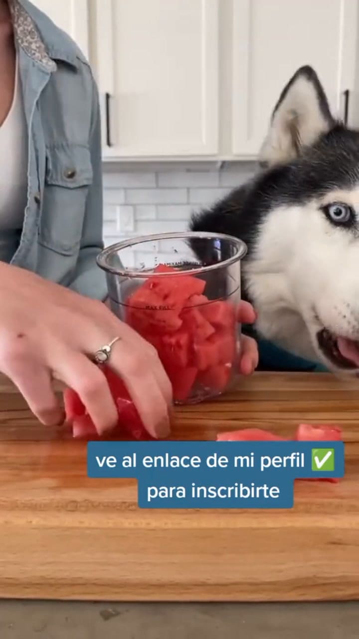 El tratamiento más económico contra pulgas y garrapatas: agua, vinagre y un ingrediente secreto