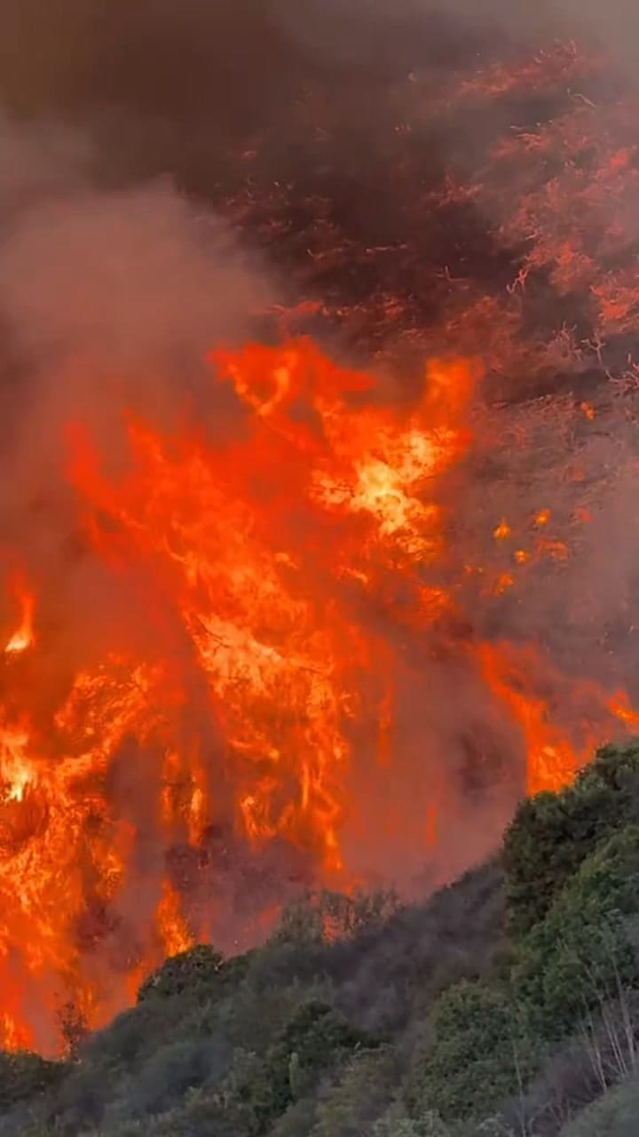 Spencer Pratt publicó imágenes impactantes de los incendios en California