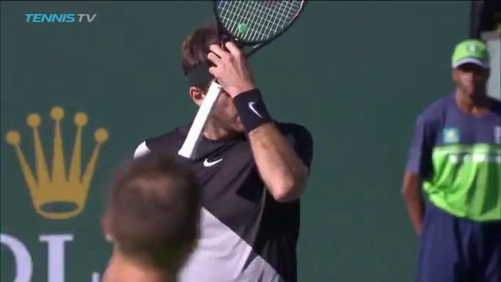 La victoria de Juan Martín Del Potro