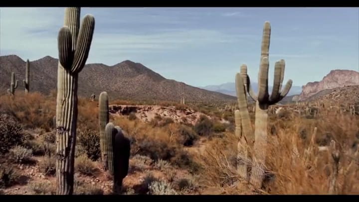 Wyatt Earp y la guerra de los cowboys , tráiler oficial