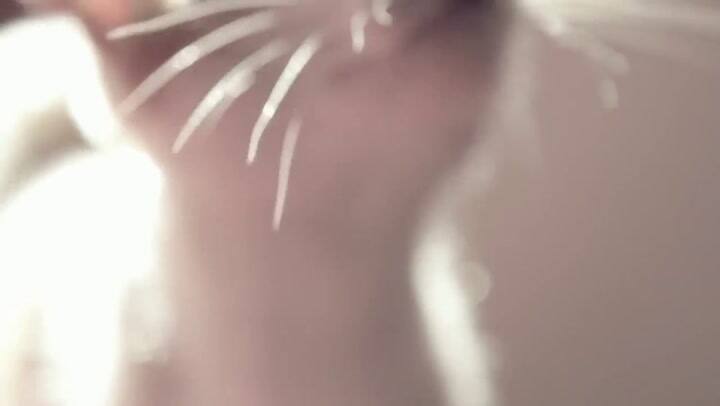 Sara Hebe - Otra vez (cruzar)