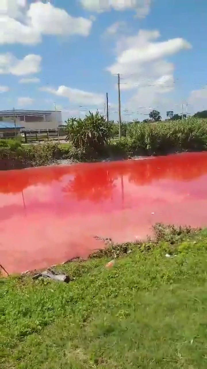 Revuelo por un arroyo que se tiñó de rojo en Avellaneda