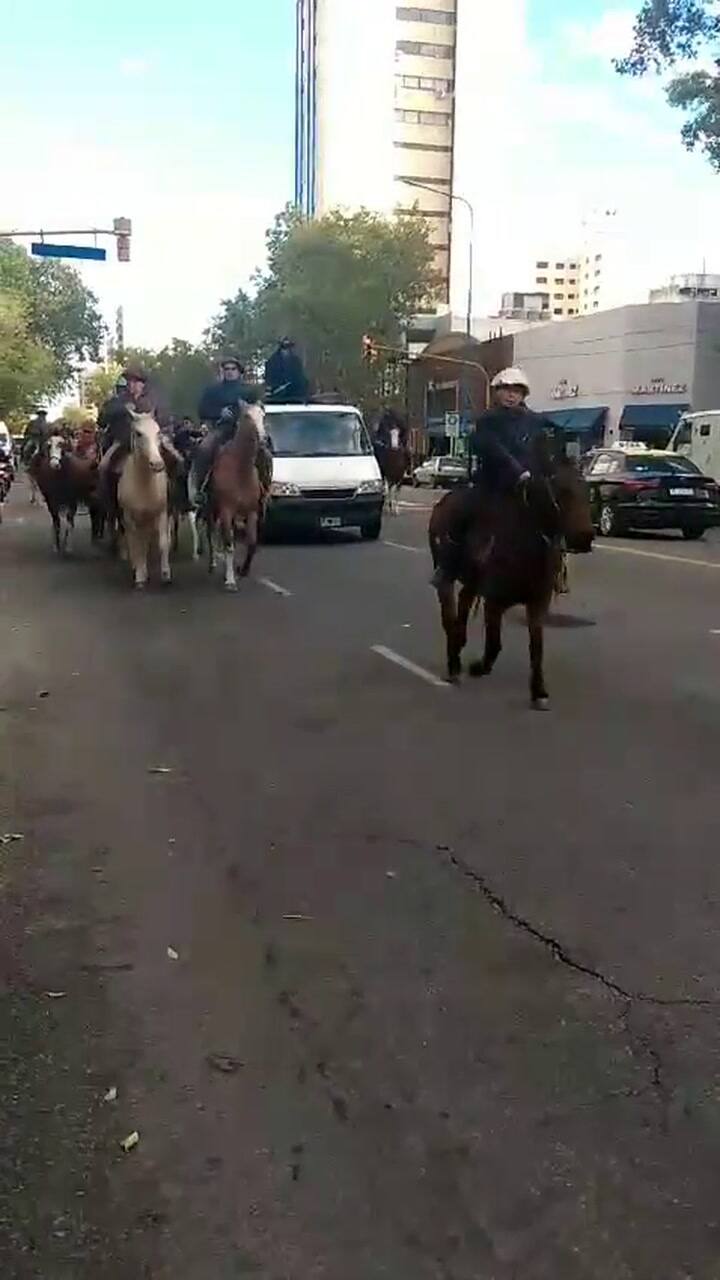 Caballos Mar del Plata