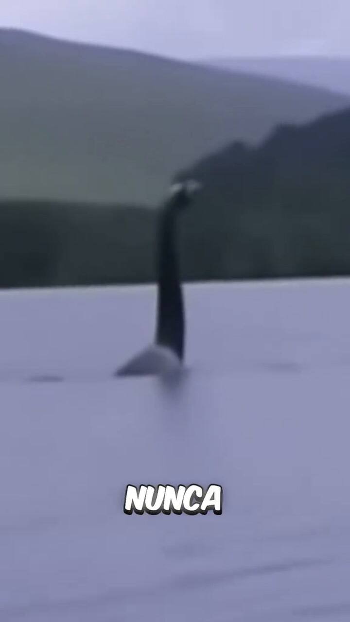 Busco al monstruo del Lago Ness por 50 años y se llevó una sorpresa