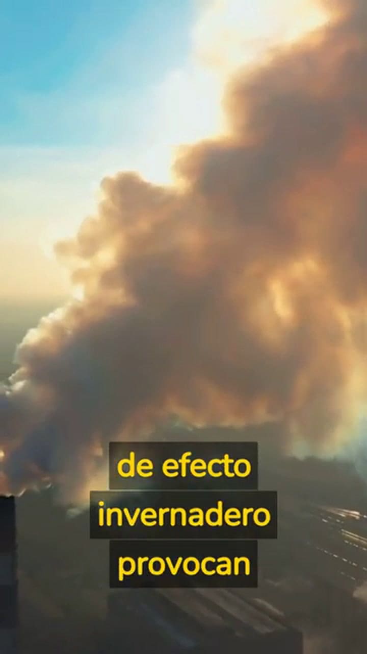 Cómo será el fin de la humanidad, según expertos