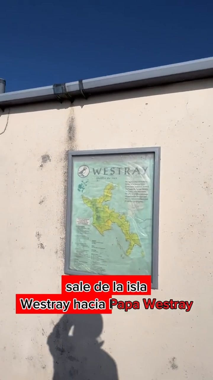 Ssstik.io @Soygustavoeduardo 1729943686532