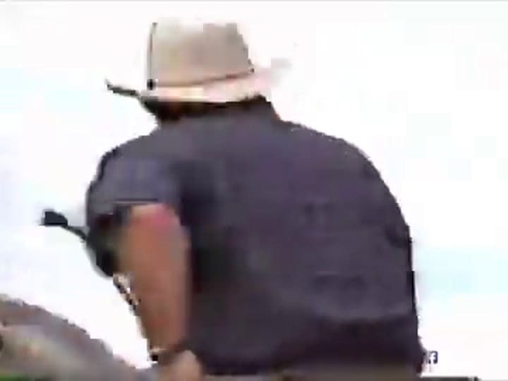 Shakira En La Novela El Oasis