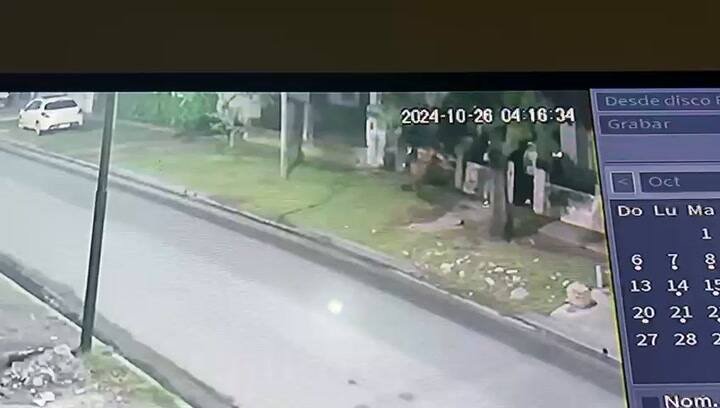 Video De Whatsapp 2024-10-27 A Las 11.45.25 184cb39d