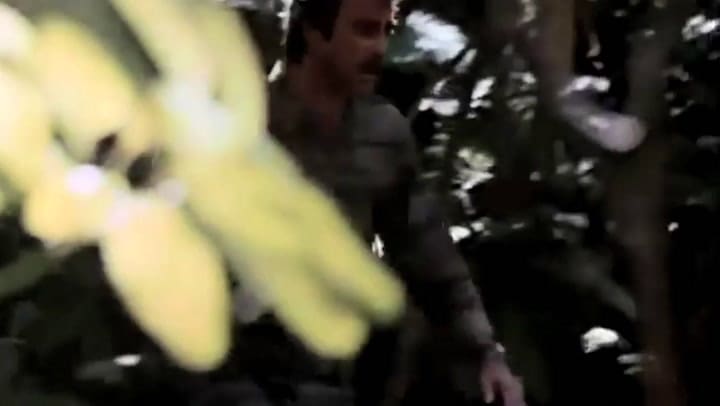 Magnum, El detective del bigote